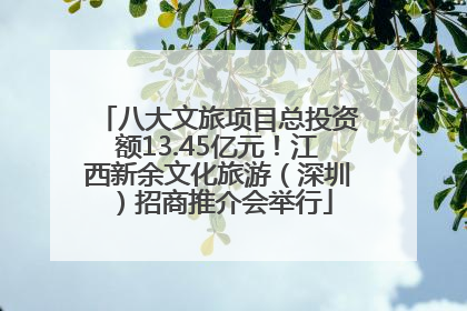 八大文旅项目总投资额13.45亿元！江西新余文化旅游（深圳）招商推介会举行